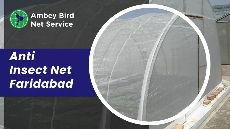 anti insect net faridabad