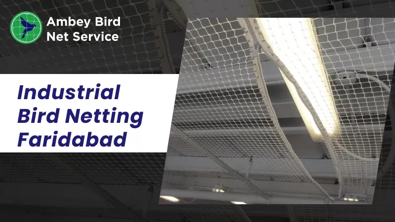 industrial bird netting faridabad
